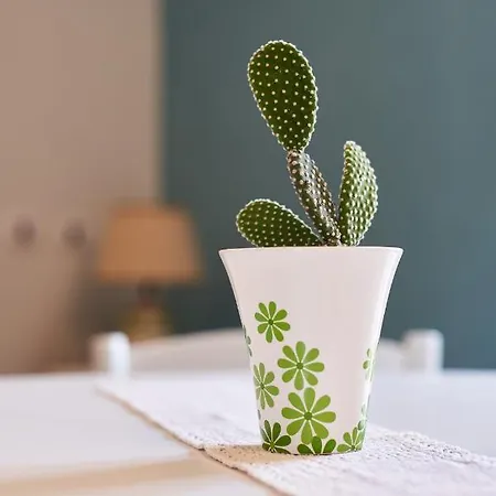 Al Vicolo Vi 3* 萨尔达拉