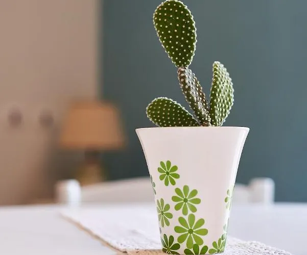 Al Vicolo Vi 3* 萨尔达拉